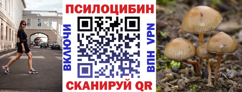 Галлюциногенные грибы Cubensis  где купить   Южно-Сухокумск 
